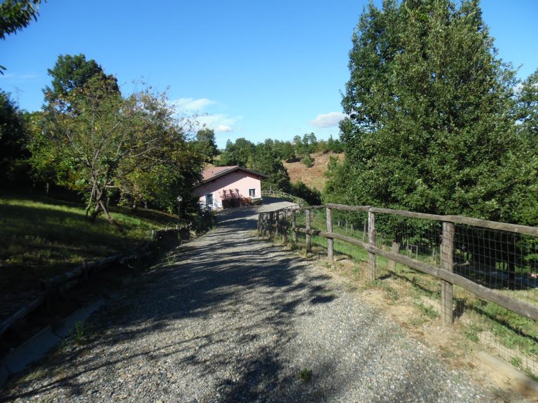 Az. Agricola “Cascina Aurora” Acqui T. (AL) – Rif. Vas 0419
